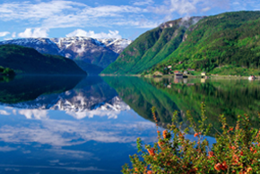 nature-norway.png