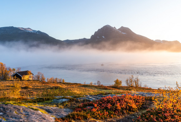 untitled shoot-08438.jpg