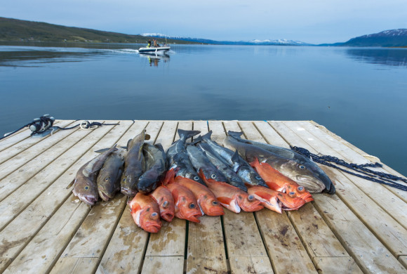 untitled shoot-0345 копия.jpg